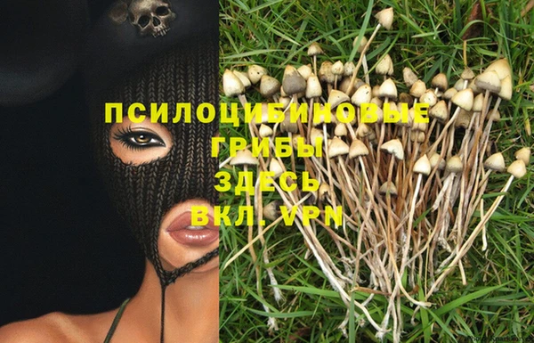 синтетический гашиш Абинск