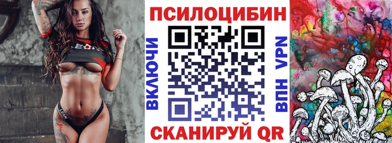 shop клад  Магадан  Псилоцибиновые грибы мицелий  ссылка на мегу сайт 