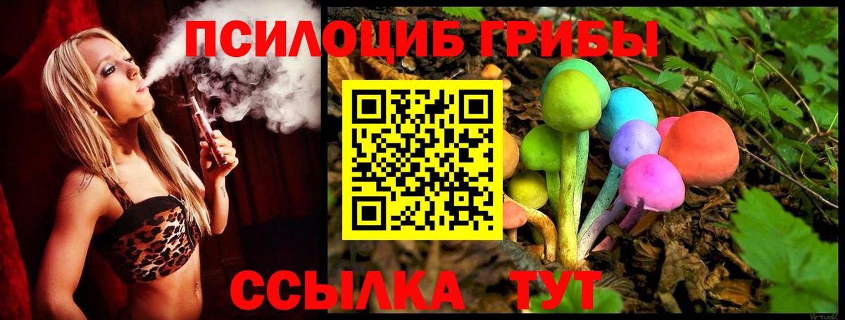 Галлюциногенные грибы MAGIC MUSHROOMS  Вход с VPN  Магадан  Псилоцибиновые грибы Psilocybe 