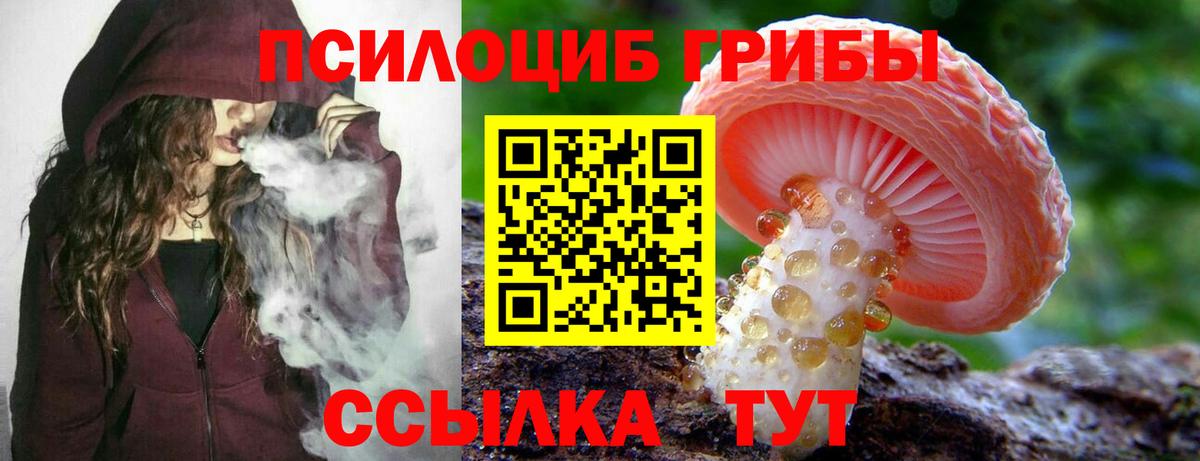 Псилоцибиновые грибы GOLDEN TEACHER Магадан